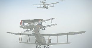 IL-2 Sturmovik: SSW D.IV Collector Plane