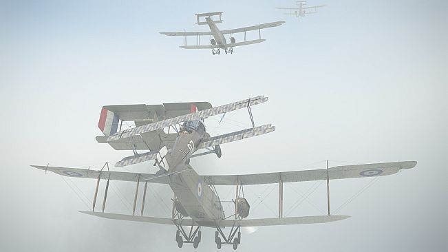 IL-2 Sturmovik: SSW D.IV Collector Plane