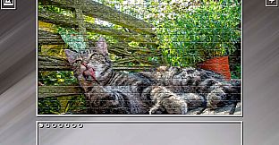 Super Jigsaw Puzzle: Generations - Cats 3