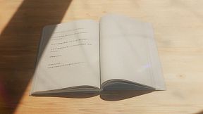 Dragon Raja the farewell passage