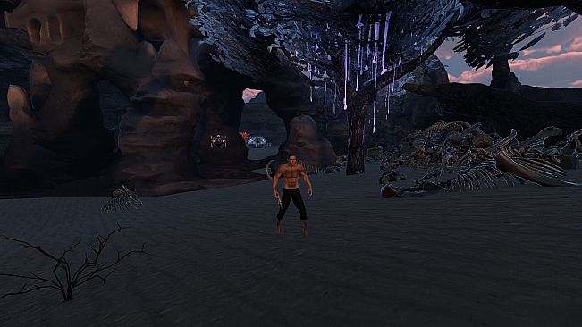Offworlder