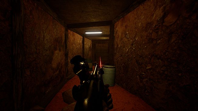 Burkina Faso: Radical Insurgency