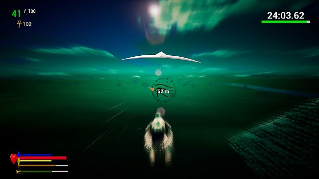 Unexpected Pigeon Race