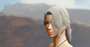 Monster Hunter Rise - "Princely Tail" hairstyle