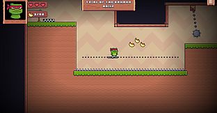 Super Frog Ninja