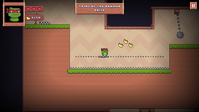 Super Frog Ninja