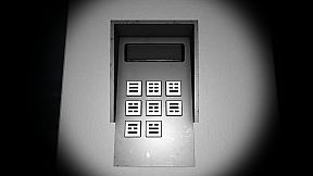 看白海豚的好日子 A Perfect Day for White Dolphin