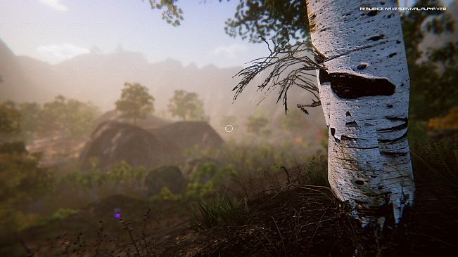 Resilience Wave Survival