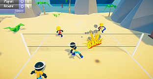 Stickman Beach Volleyball DELUXE