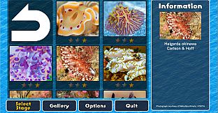 Jigsaw Masterpieces : Sea Slugs - Gems of the Sea -