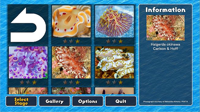 Jigsaw Masterpieces : Sea Slugs - Gems of the Sea -