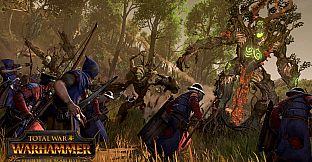 Total War: WARHAMMER - Realm of The Wood Elves
