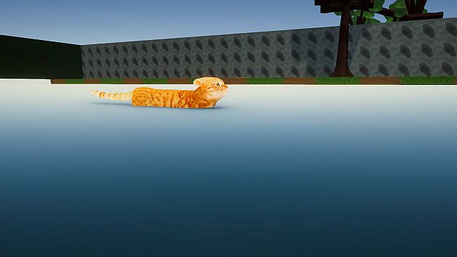 CatMischief