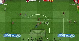 Sociable Soccer Champions