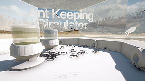 Ant Keeping Simulator