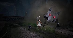 LIGHT:Black Cat & Amnesia Girl