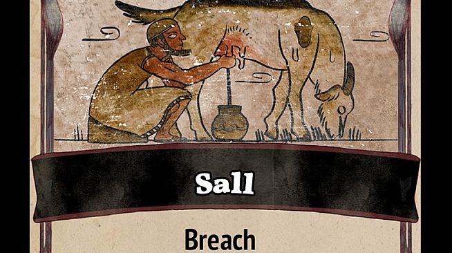 Rival Books of Aster - Heptameron Expansion Pack