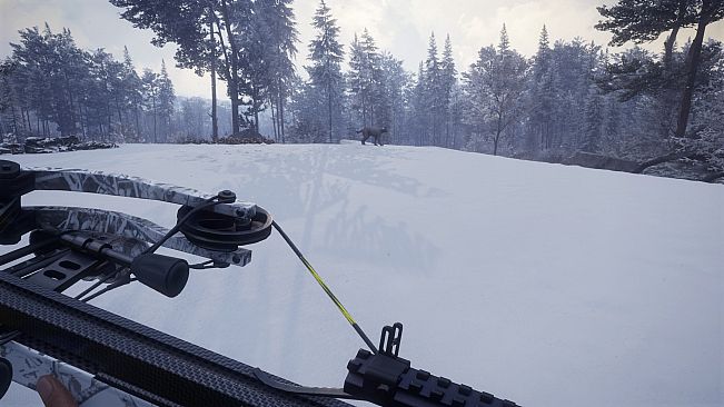 theHunter: Call of the Wild - Weapon Pack 1 - Windows 10