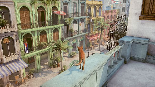 Little Strays - Havana