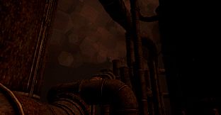 CLAUSTRUM