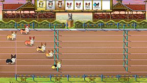 Corgi Race