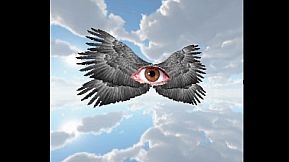 Within the Backrooms