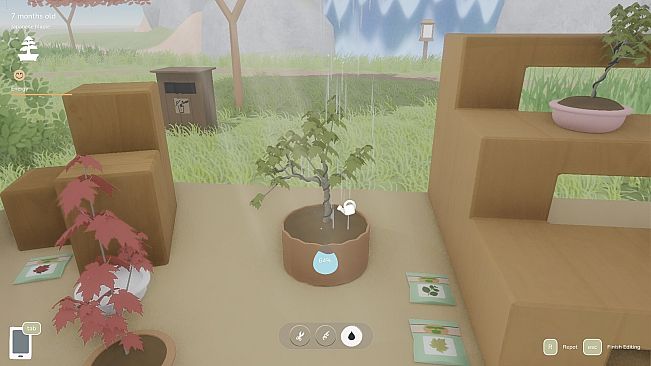 Bonsai Island