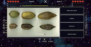 I've Seen Everything - More Fruits