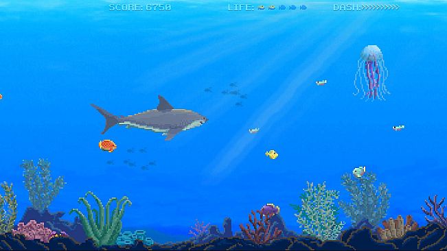 Watch Out: Shark!