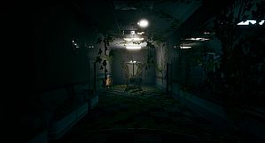 The Backrooms Project