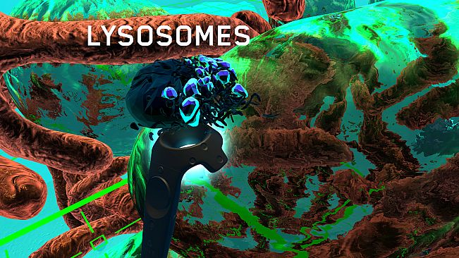 Journey to the Centre of the Cell