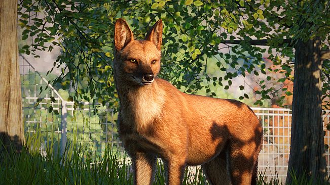 Planet Zoo: Southeast Asia Animal Pack
