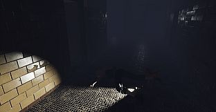 Paranormal Events