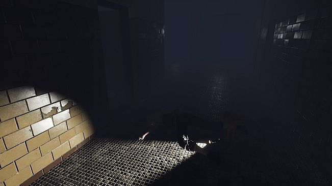 Paranormal Events