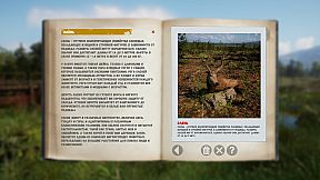 Russian Soul Simulator