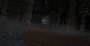 Don't Stop In Red Wood