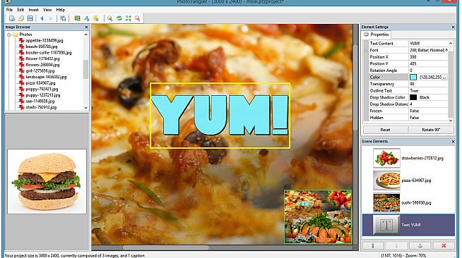 PhotoTangler Collage Maker