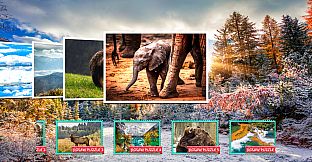 Nature & Wildlife - Jigsaw Puzzle - Expansion Pack 4