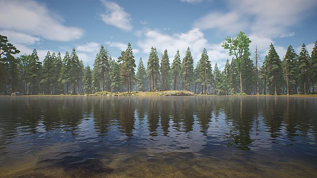 Mushroom Hunter Simulator