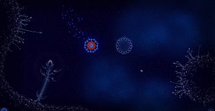 Microcosmum: survival of cells - Campaign "Hot And Cold"