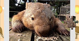 1001 Jigsaw. World Tour: Australian Puzzles