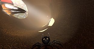 A little Jumpingspider's Garden Adventure (Day 1+2)