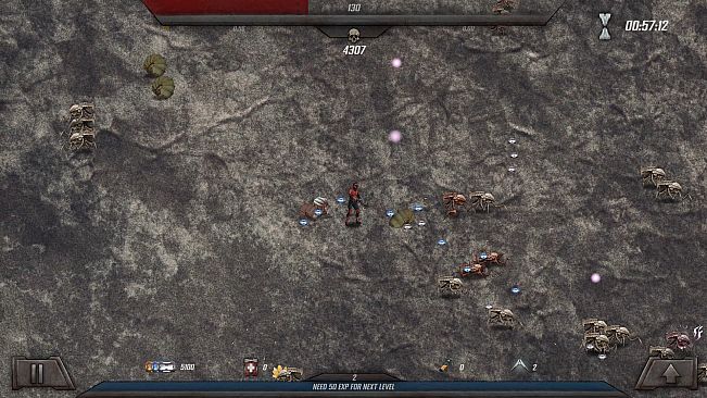 Survivors of the Mare Vitalis