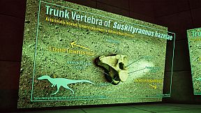 SHADOWBOX: Mausoleum of Natural History