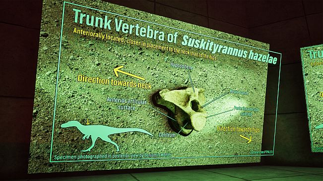 SHADOWBOX: Mausoleum of Natural History