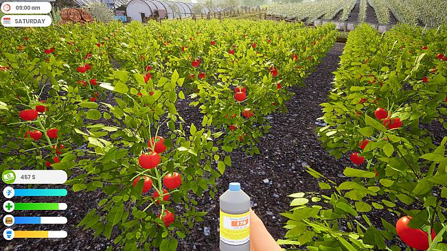 Farmer Life Simulator