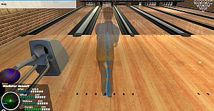 Bowlers : The bowling experience