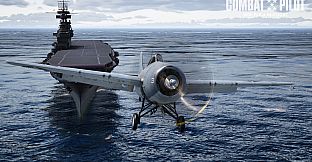 COMBAT PILOT: CARRIER QUALIFICATION