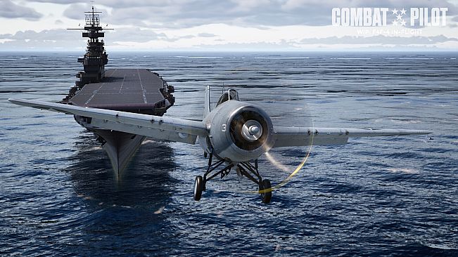 COMBAT PILOT: CARRIER QUALIFICATION
