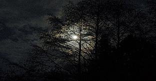 The Art of Dark Fairies